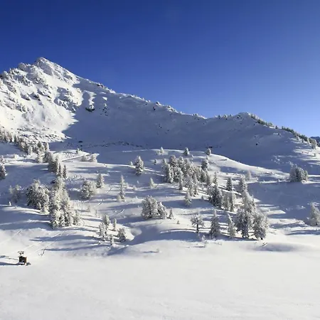 Christiania Cosy & Center Daire Nendaz