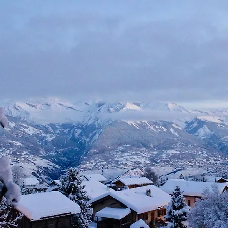 Christiania Cosy & Center