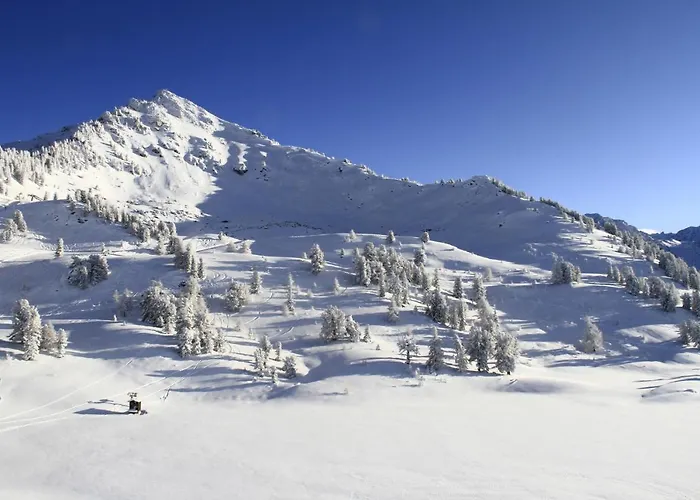 Christiania Cosy & Center Daire Nendaz