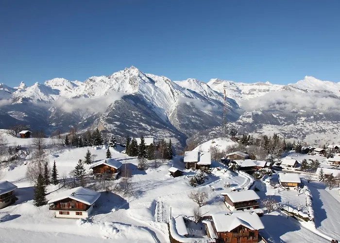 Christiania Cosy & Center Daire *